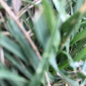 Meet your Posher, Yaw